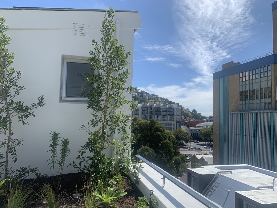 To Let 0 Bedroom Property for Rent in Cape Town City Centre Western Cape
